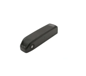 Batterie Rad Power Accu 48V 10.5Ah Compatible